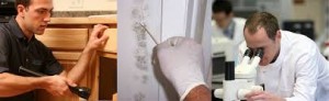 mold inspector