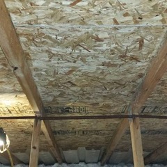 Attic mold removed — Flint, MI