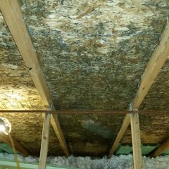 Attic mold — Flint, MI