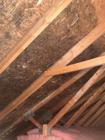 Attic mold — Frankenmuth, MI