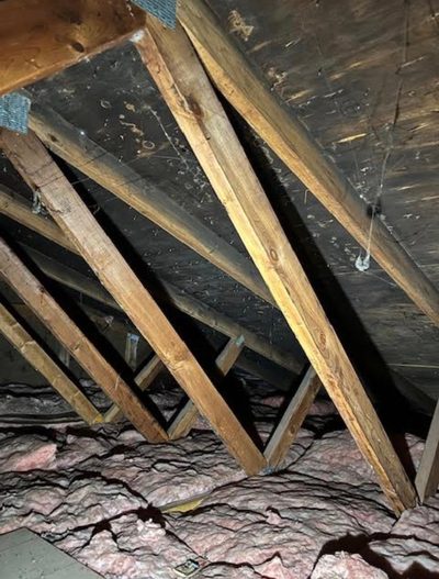 Attic rafters with mold growth