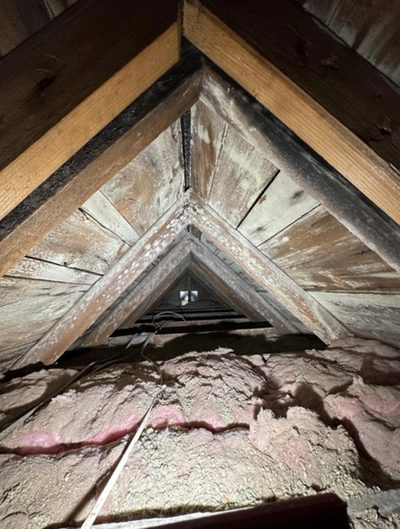 Attic mold on roof sheathing