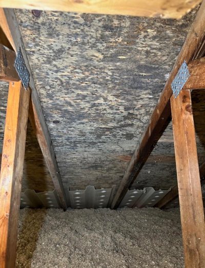 Attic mold between rafters