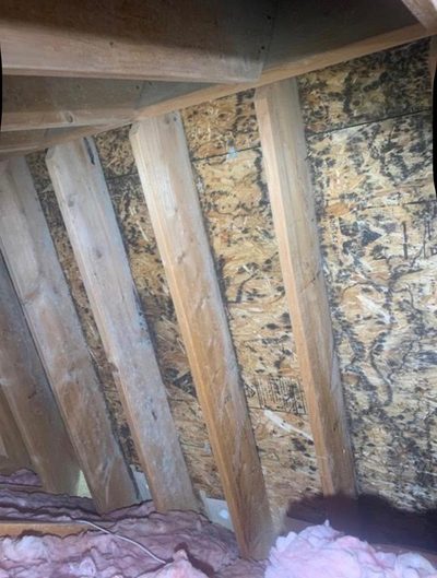 Attic gable mold