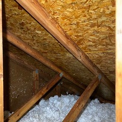 Attic mold removed — Saginaw, MI