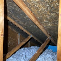 Attic mold — Saginaw, MI