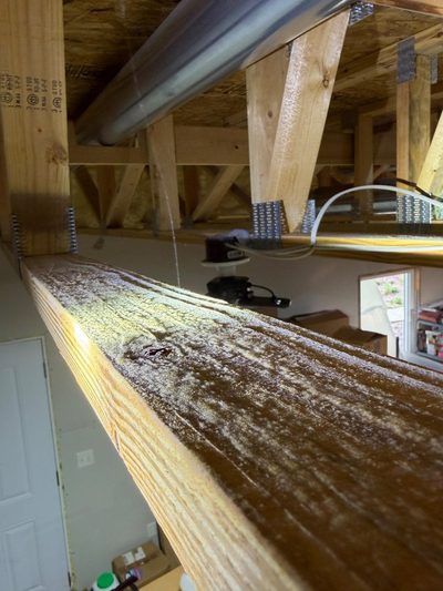 Mold on a basement floor joist
