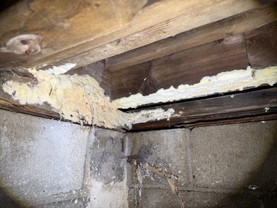 Basement rim joist mold