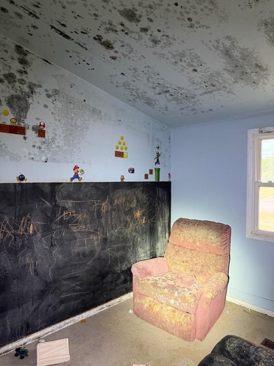 Mold across a bedroom ceiling and walls