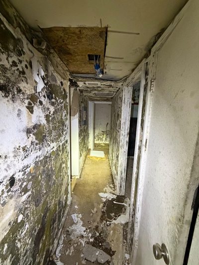 Black mold covering a hallway