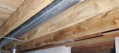 Crawl space mold — after