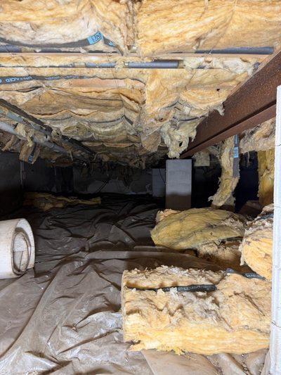 Crawl space mold — before