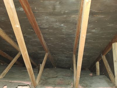 Mold remediation in progress