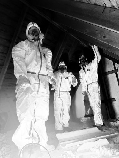 Our crew suited up in an attic