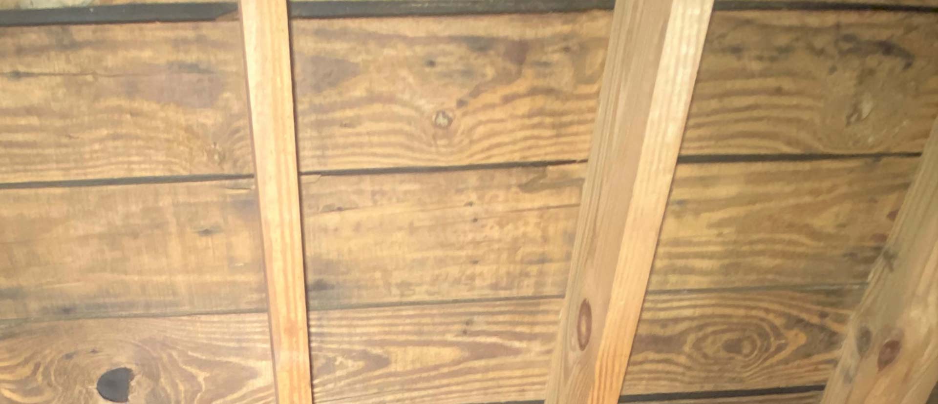 Attic mold removal in a Michigan home — after
