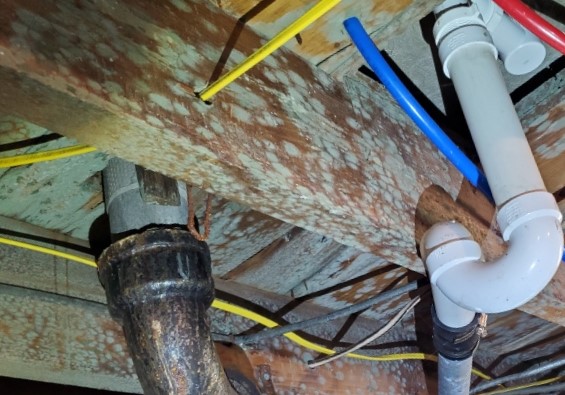 Basement mold removal in a Michigan home — before
