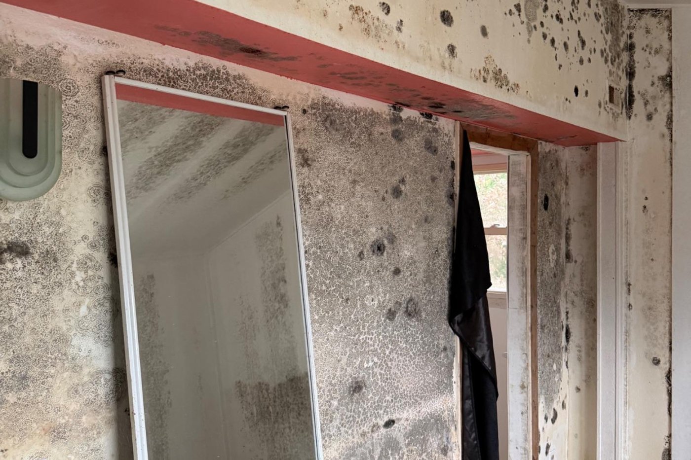 Black mold covering the walls and ceiling of a Michigan bedroom before remediation
