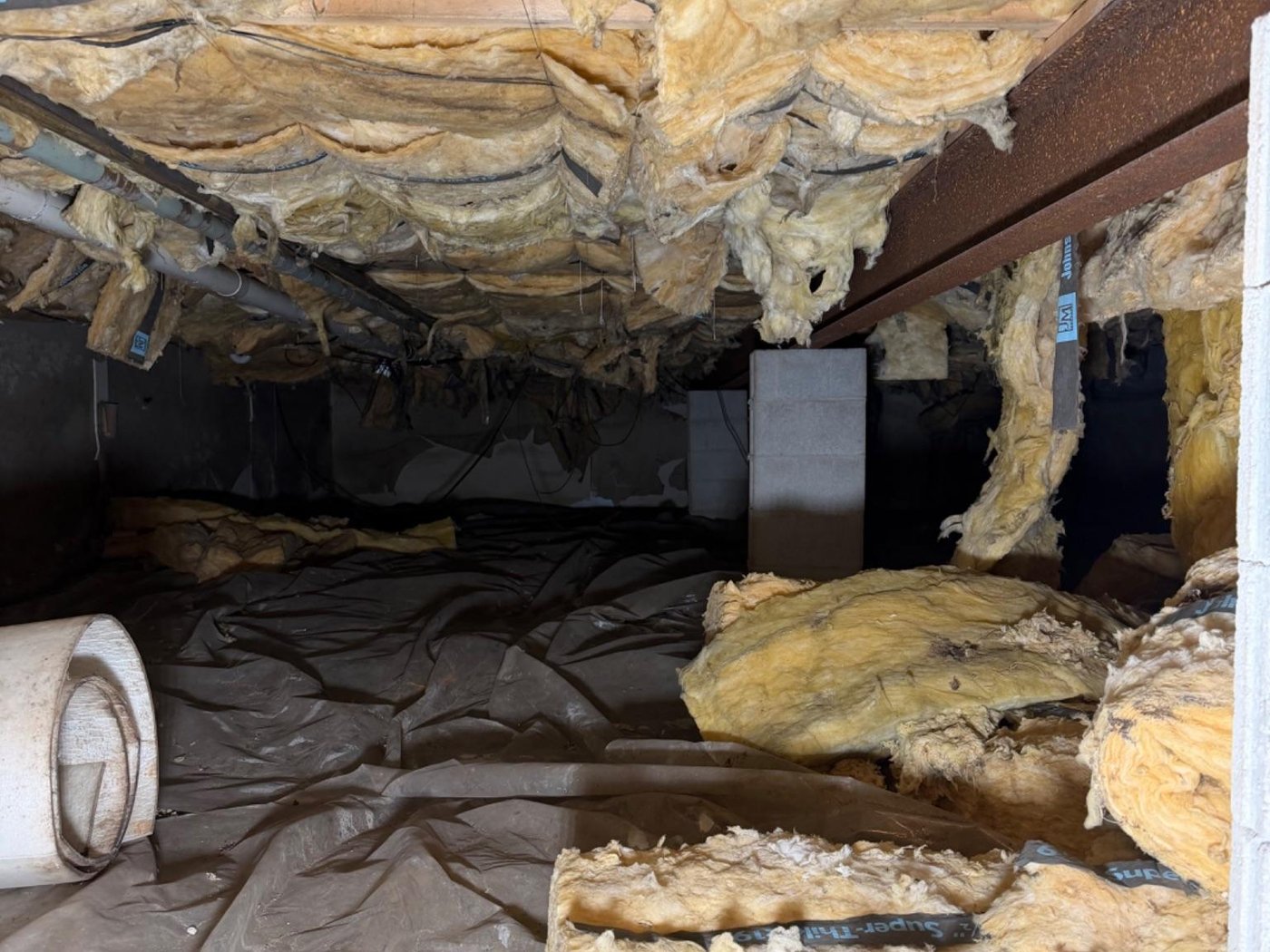Crawl space mold removal in a Michigan home — before