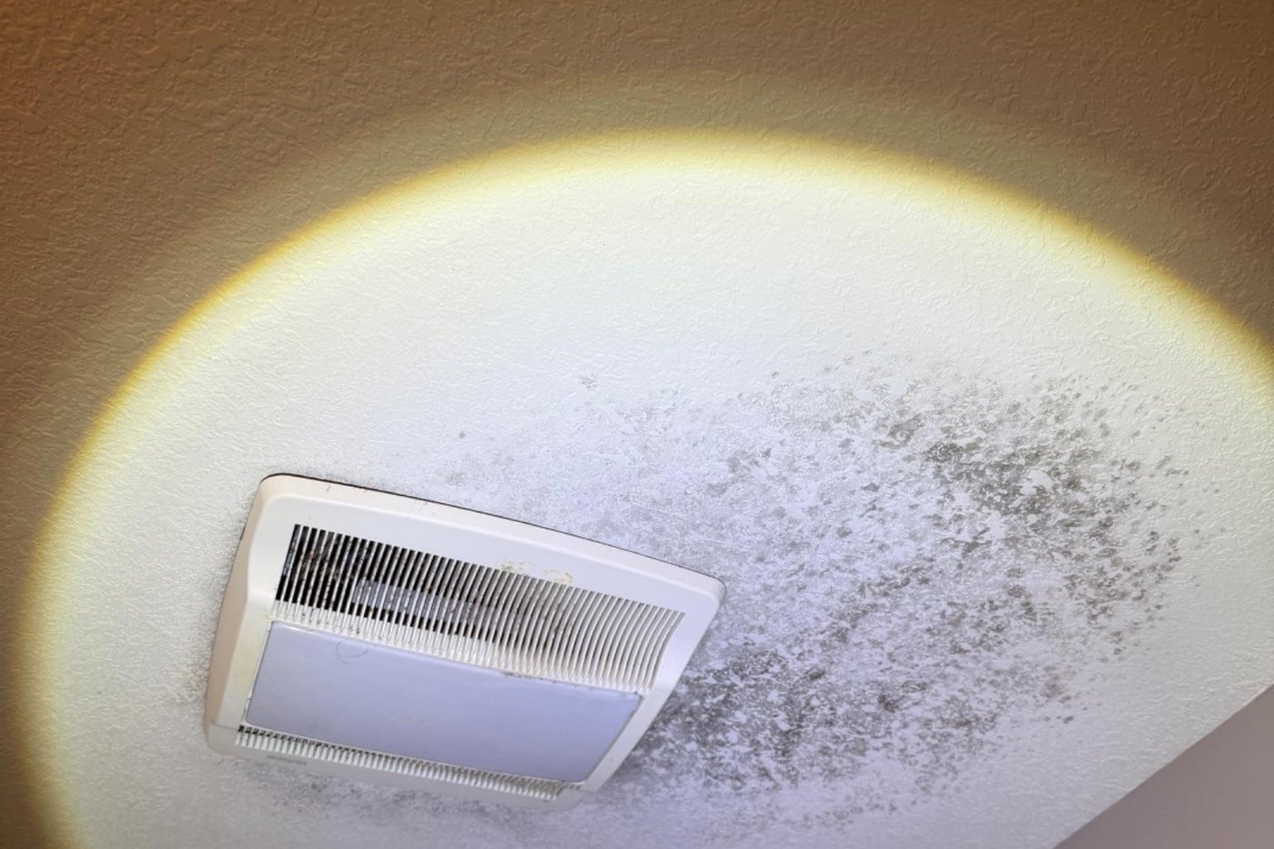 Mold growth found on a bathroom ceiling around the exhaust fan during a mold inspection
