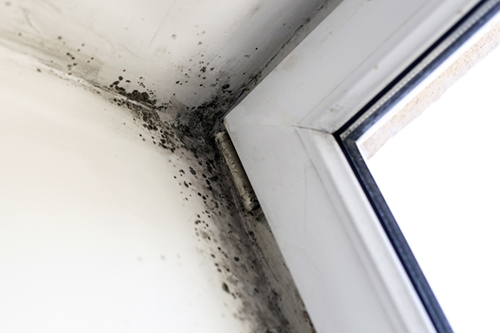 Elliot Environmental technician performing mold remediation in a Michigan home