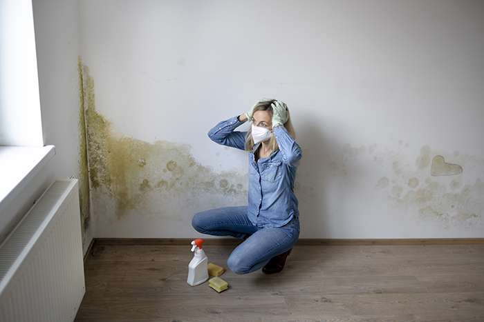 Residential and commercial mold restoration in Dutton